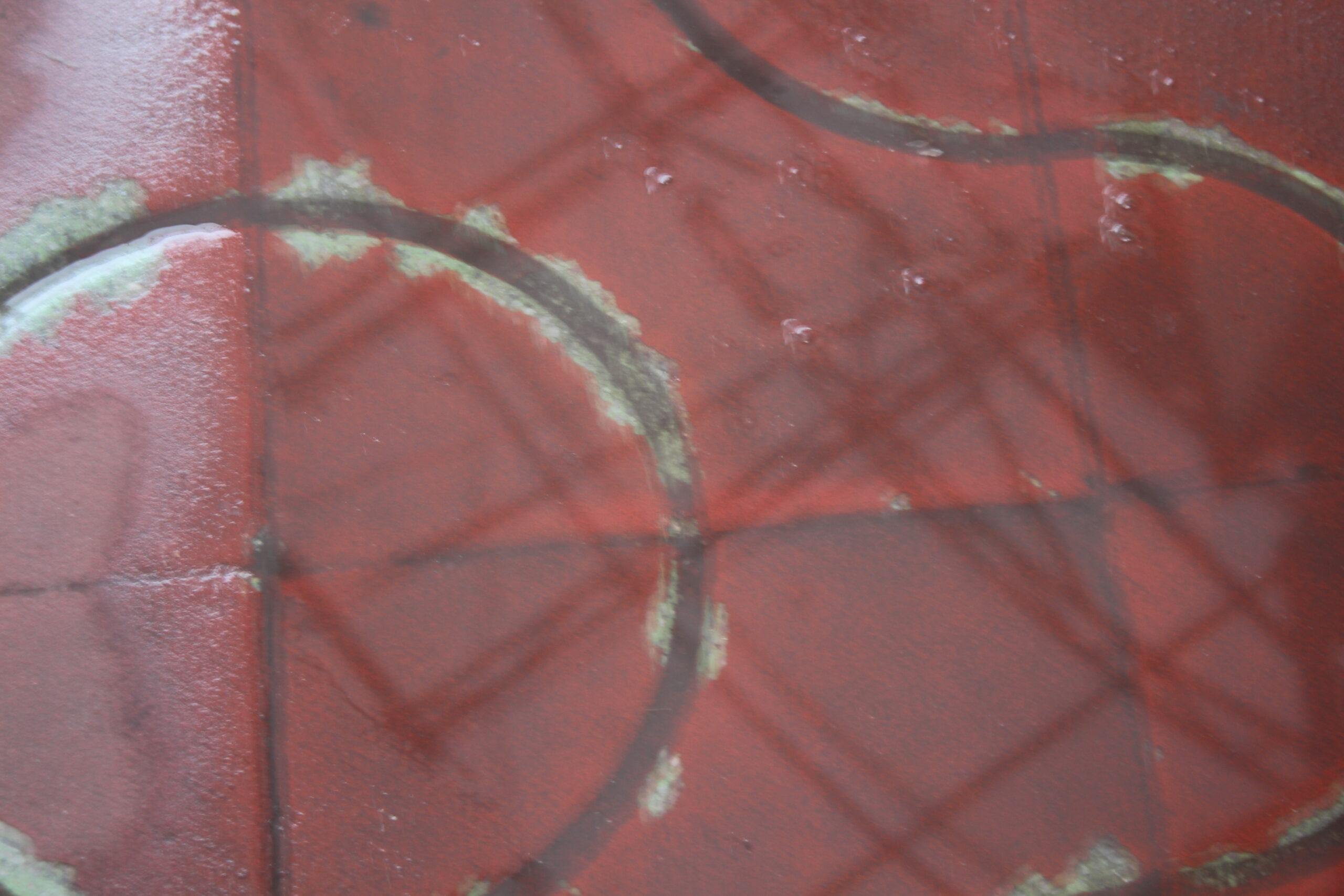 フォトウォーク写真2