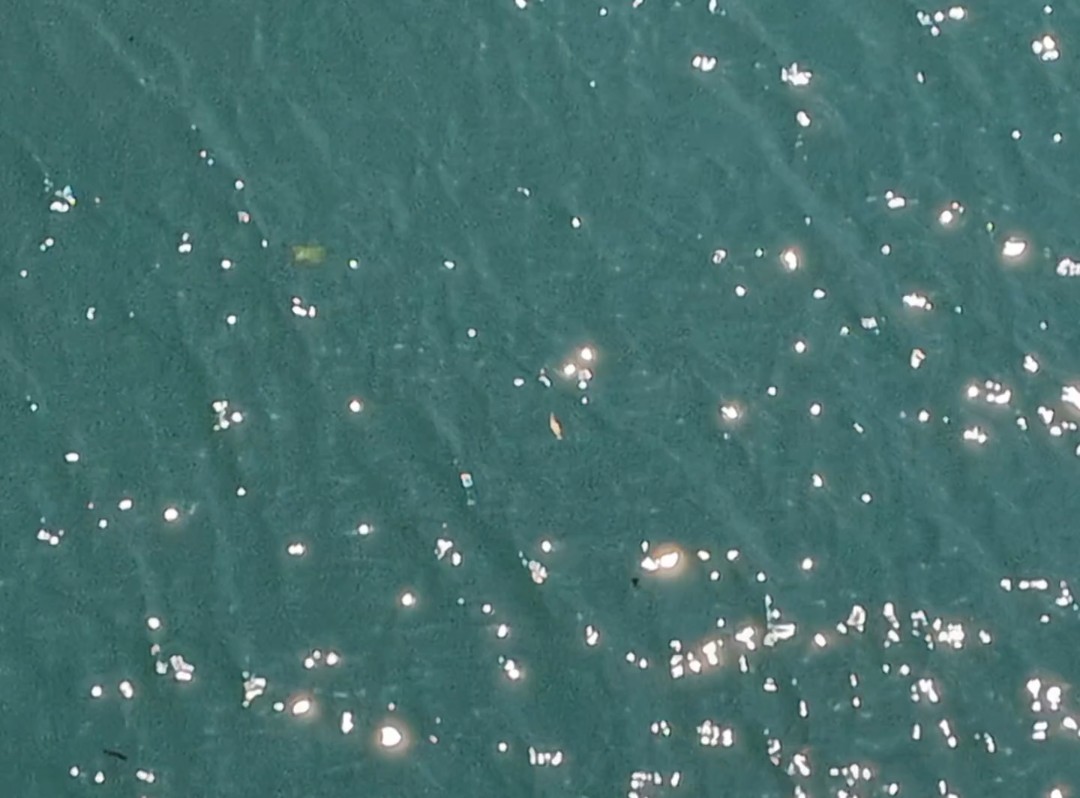 水面のキラキラ